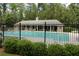 A community pool with clear blue water, lounge chairs, and a covered pavilion surrounded by lush greenery at 183 Brookwood Xing, Douglasville, GA 30134