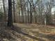 View of backyard with natural landscape at 155 Emily Dr, Whitesburg, GA 30185