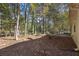 Secluded backyard with mature trees offering privacy, with a view of the home's exterior at 1150 Strath Clyde Way, Mcdonough, GA 30253