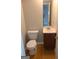 Bathroom features a toilet, vanity with sink, mirror, and wood-look flooring, offering a functional design at 2627 Evans Mill Dr, Lithonia, GA 30058