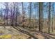 Wooded backyard featuring tall trees, a gentle slope, and plenty of natural foliage at 3585 Ale Cir, Atlanta, GA 30344