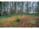 Backyard with trees at 3500 Quail Hollow Trl, Snellville, GA 30039