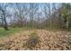 Wide shot of the backyard, mainly dry grass and many bare trees at 6112 Shadow Rock Ln, Lithonia, GA 30058
