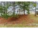 View of back yard with a wooded area, green grass, and back of houses in the background at 450 Lake Ridge Ln, Fairburn, GA 30213