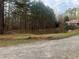 View of a pond, as well as a grassy area, lots of trees and a dirt road at 5800 Cascade Palmetto Hwy, Fairburn, GA 30213