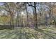Spacious backyard surrounded by trees, with an outdoor playset perfect for Gathering fun and recreation at 1229 Woodmere Dr, Loganville, GA 30052