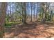 Wooded backyard with a carpet of leaves offering shade and a natural environment at 2777 Luther Dr, Atlanta, GA 30344