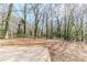 View of the large backyard and the surrounding trees at 3192 Belfort Se Rd, Atlanta, GA 30354