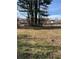 Spacious backyard with mature trees and a partial view of a wooden swing set at 232 Rockingham Dr, Loganville, GA 30052