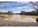 A pond within the community at 620 Willow Haven Way, Suwanee, GA 30024