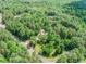Overhead aerial view of property that is surrounded by lush green trees at 150 Karina Pl, Canton, GA 30115