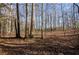 A wooded backyard with mature trees with fallen leaves for ground cover at 150 Karina Pl, Canton, GA 30115