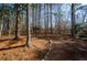 Picturesque backyard with mature trees and lush ground cover; a serene and natural setting for outdoor enjoyment at 150 Karina Pl, Canton, GA 30115
