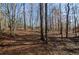 A wooded backyard with mature trees with fallen leaves for ground cover at 150 Karina Pl, Canton, GA 30115