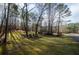 Large green yard with mature trees and a winding road at 150 Karina Pl, Canton, GA 30115