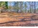 Wooded backyard with a gently sloping hill at 3110 Chandon Ln, Lawrenceville, GA 30044