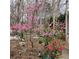 A tranquil backyard with pink blossoming trees, offering a serene and natural setting at 3620 Highpoint Rd, Cumming, GA 30041