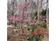 Landscaped backyard with flowering trees and mature trees at 3620 Highpoint Rd, Cumming, GA 30041