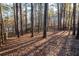 Lush backyard showing tree coverage and a wooden fence line, creating a private outdoor space at 514 Lovinggood Ct, Woodstock, GA 30189