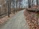 Walking path surrounded by lush trees and vegetation, ideal for outdoor recreation and enjoying nature at 514 Lovinggood Ct, Woodstock, GA 30189