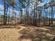 The wooded backyard features mature trees and the hint of a garden structure in the distance at 770 Prickett Rd, Douglasville, GA 30134