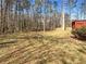 Large, tree-lined backyard with ample space for outdoor activities and entertaining at 25 Cloud Forest Ct, Stockbridge, GA 30281