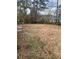 Spacious backyard with mature trees, offering a private outdoor space to relax and enjoy nature at 4300 Shady Lane Way, Forest Park, GA 30297