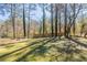 Large, grassy backyard with a mix of sunlight and shade from mature trees and chain-link and wood fencing at 158 Polar Rock Sw Dr, Atlanta, GA 30315