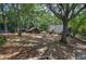 Large backyard with mature trees, featuring a stone firepit, a small shed, and lush, green surroundings at 1240 Evans Cook Rd, Canton, GA 30115