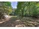 View of expansive backyard, mature trees, wood fence, detached garage and storage shed at 1240 Evans Cook Rd, Canton, GA 30115