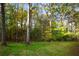 Expansive wooded backyard featuring mature trees creating a tranquil setting at 1421 Eryn Cir, Suwanee, GA 30024