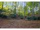 Wooded backyard with mature trees and foliage offer a tranquil and private outdoor space at 1421 Eryn Cir, Suwanee, GA 30024