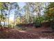 Expansive wooded backyard featuring a firepit area with mature trees for a serene outdoor space at 1421 Eryn Cir, Suwanee, GA 30024