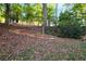 Wooded backyard featuring logs and mature trees creating a natural and serene environment at 1421 Eryn Cir, Suwanee, GA 30024