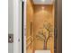 Interior elevator with wood paneling and a decorative mural at 7524 Portbury Park Ln, Suwanee, GA 30024