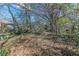 View of the private, wooded backyard at 3630 Union Ave, Hapeville, GA 30354