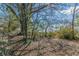 View of the private, wooded backyard at 3630 Union Ave, Hapeville, GA 30354