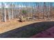 Outdoor swimming pool with a large deck and a surrounding wooded area at 5170 Black Bear Trl, Douglasville, GA 30135