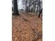 Picture of yard debris, fallen branches, and leaf-covered ground at 3518 Hamlin Cir, Atlanta, GA 30341