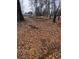 Picture of yard debris, fallen branches, and leaf-covered ground at 3518 Hamlin Cir, Atlanta, GA 30341