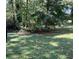 An overgrown backyard featuring grass and trees at 5581 Shadow Rock Dr, Lithonia, GA 30058