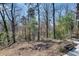 A scenic wooded area adjacent to the property, providing a sense of privacy and tranquility at 355 Ridgeview Trl, Atlanta, GA 30328