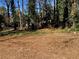 Exterior shot of backyard and trees, showcasing lawn at 2678 Brook Park Way, Atlanta, GA 30340