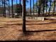 Backyard view with a large, grassy, tree-lined area and brick retaining wall at 2678 Brook Park Way, Atlanta, GA 30340