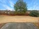 Large backyard with a wood fence at 123 Laurel Springs Dr, Mcdonough, GA 30253