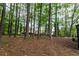 View of backyard with trees and open space, located in a private, wooded setting at 1995 Northerly Way, Stone Mountain, GA 30088