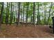 View of the wooded backyard with mature trees behind the property at 1995 Northerly Way, Stone Mountain, GA 30088