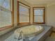 Relaxing bathroom with a soaking tub, windows and natural light at 3179 Meadow Trl, Loganville, GA 30052