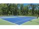 Professional blue and green tennis courts with nets and benches surrounded by lush green trees at 2903 Eva Clb, Acworth, GA 30101