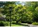 Beautifully landscaped yard with a mature tree and lush green grass at 4615 Northside Dr, Atlanta, GA 30327